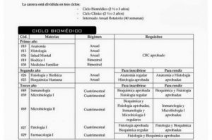 Ciclo basico comum 