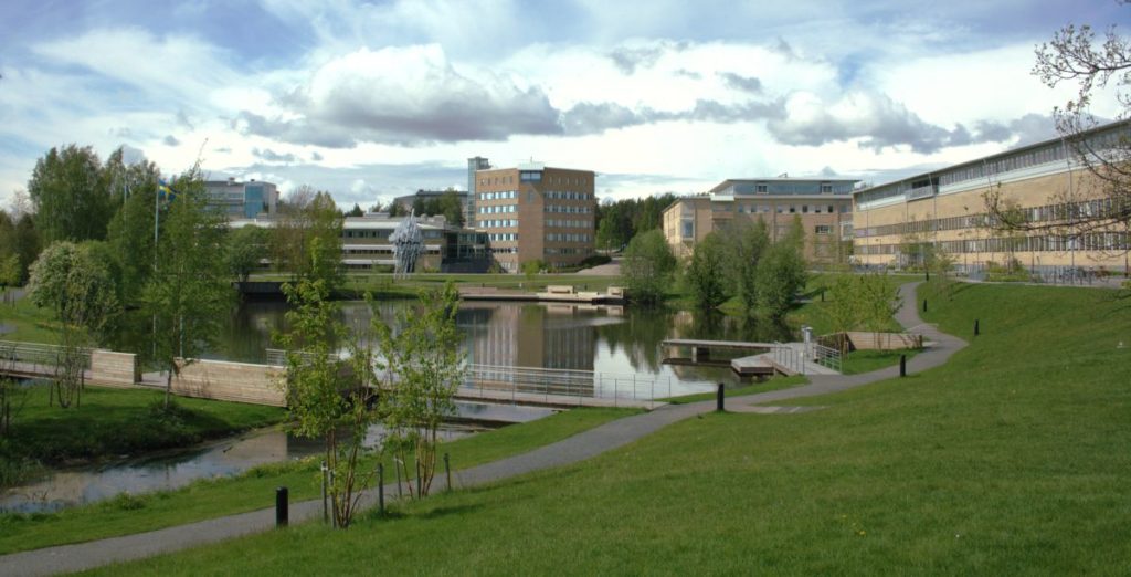 Umea University